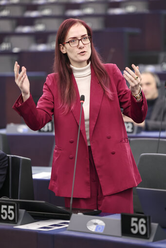 Fotografie 12: EP Plenary session- The need to enforce the Digital Services Act to protect democracy on social media platforms against foreign interference and biased algorithms