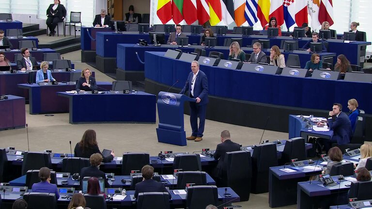 Need to enforce the Digital Services Act to protect democracy on social media platforms including against foreign interference and distorted algorithms: MEPs debate (part 2)