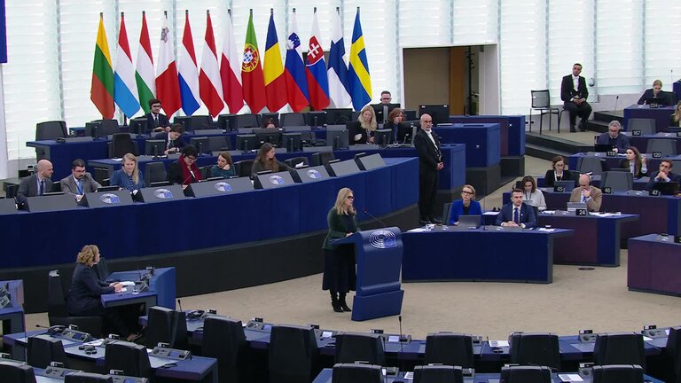 Need to enforce the Digital Services Act to protect democracy on social media platforms including against foreign interference and distorted algorithms: MEPs debate (part 3)