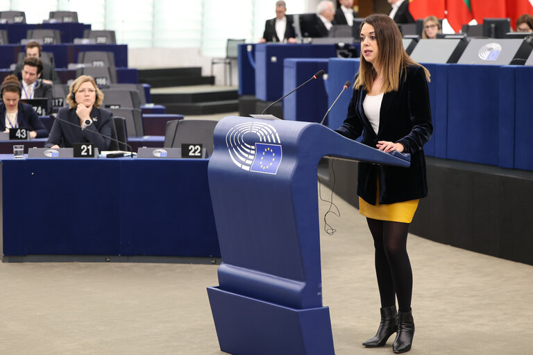 Fotó 10: EP Plenary session - The need to enforce the Digital Services Act to protect democracy on social media platforms against foreign interference and biased algorithms