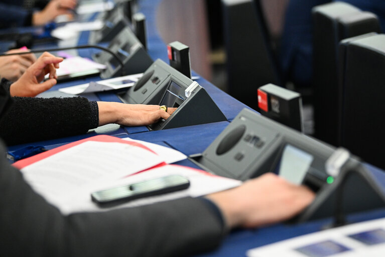 EP Plenary session - Voting session