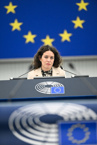 EP Plenary session - Voting session