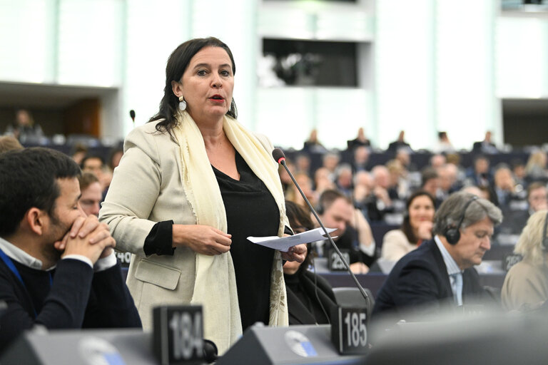 EP Plenary session - Voting session