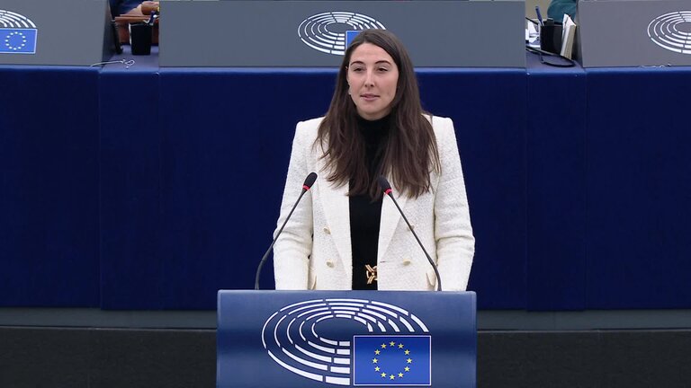 Need to enforce the Digital Services Act to protect democracy on social media platforms including against foreign interference and distorted algorithms: MEPs debate (part 4)