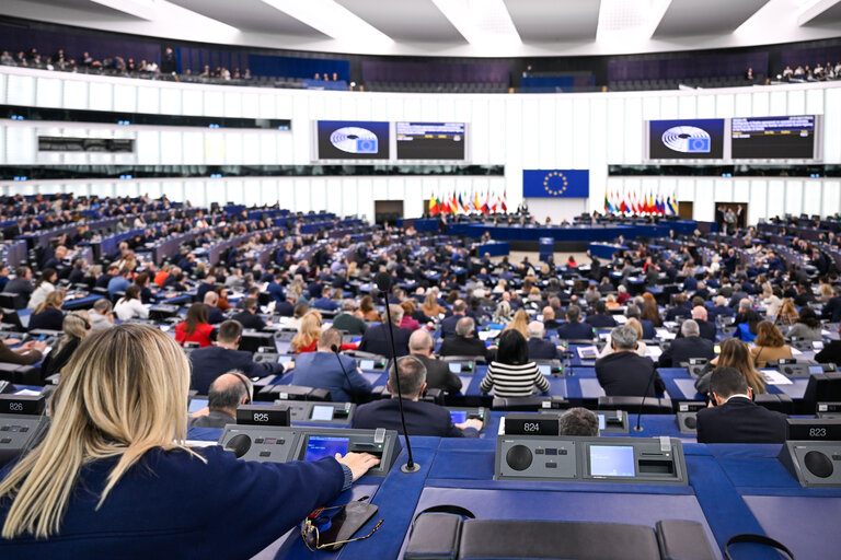 EP Plenary session - Voting session