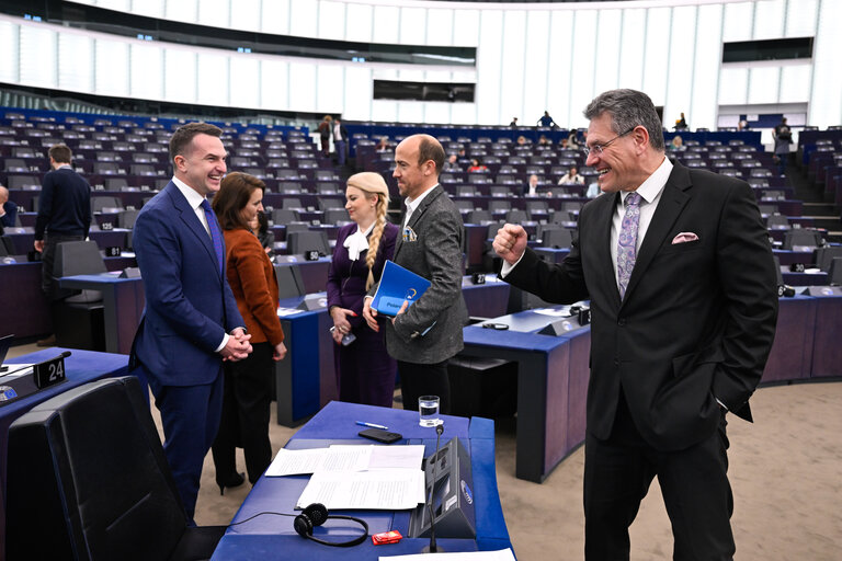 EP Plenary session - Geopolitical and economic implications for the transatlantic relations under the new Trump administration