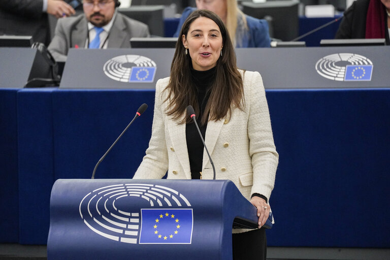 EP Plenary session - The need to enforce the Digital Services Act to protect democracy on social media platforms against foreign interference and biased algorithms