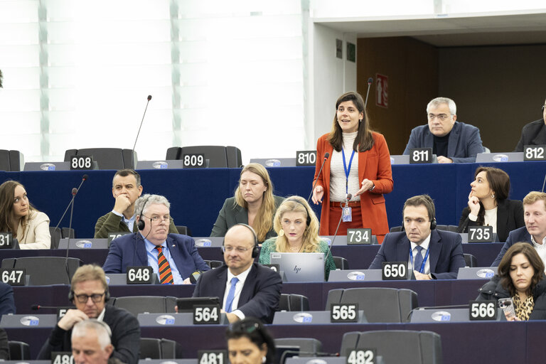 EP Plenary session - The need to enforce the Digital Services Act to protect democracy on social media platforms against foreign interference and biased algorithms