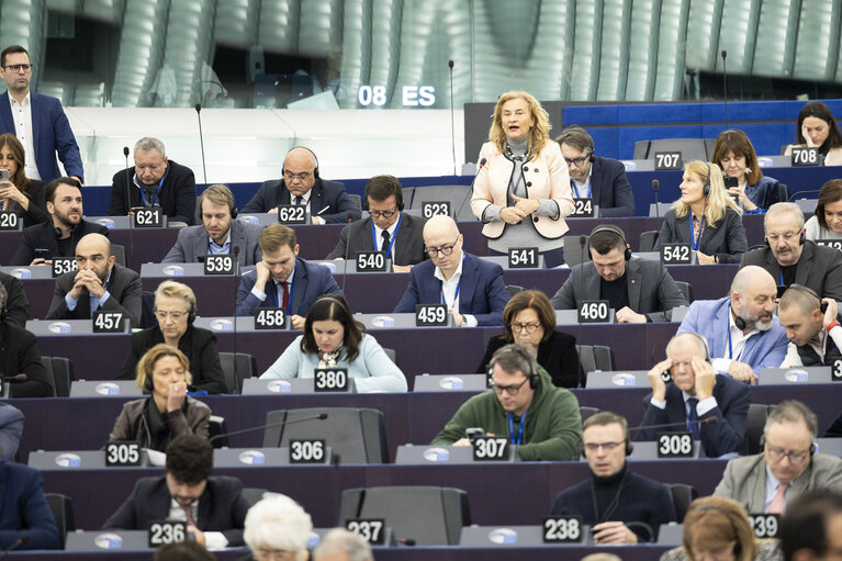 EP Plenary session - The need to enforce the Digital Services Act to protect democracy on social media platforms against foreign interference and biased algorithms