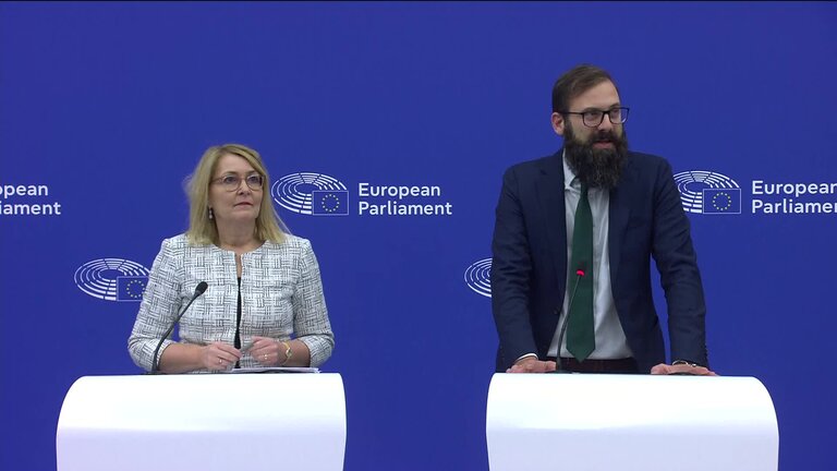 Press conference by Christel SCHALDEMOSE (S&D, DK), Chair of the Working Group on the implementation of the Digital Services Act (DSA), on enforcing the DSA