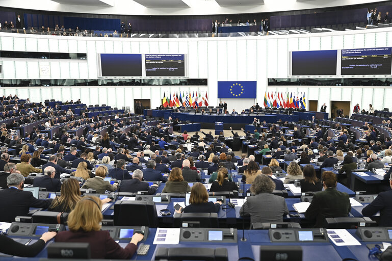 EP Plenary session - Voting session