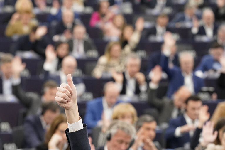 EP Plenary session - Voting session