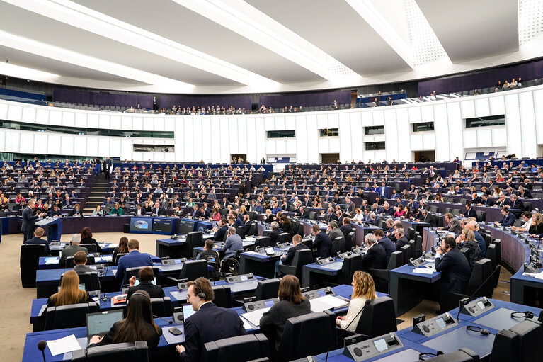 Fotografi 19: EP Plenary session - Presentation of the programme of activities of the Polish Presidency