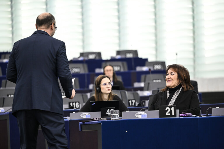 EP Plenary session - Uniting Europe against actors hostile to the EU: time to strengthen our security and defence