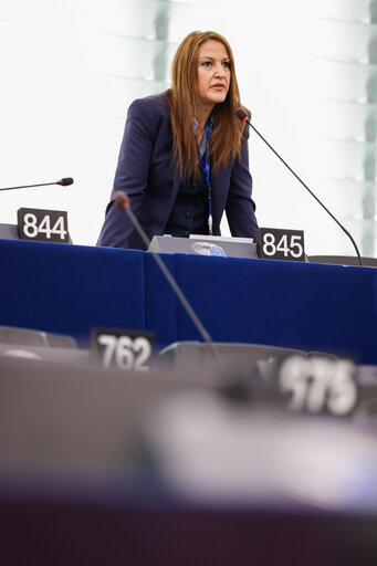 Fotografie 2: EP Plenary session - Failure of the negotiations in Busan for a UN plastic treaty and the urgent need to tackle plastic pollution at international and Union level