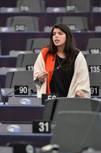 Photo 6 : EP Plenary session - Stepping up international action to protect whales following Iceland’s decision to extend commercial whaling until 2029