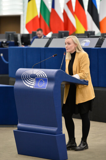 Foto 24: EP Plenary session - EU financing through the LIFE programme of entities lobbying EU institutions and the need for transparency