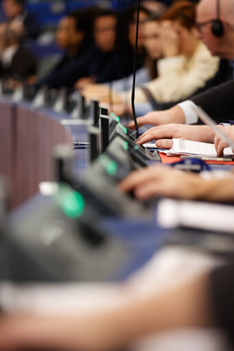 EP Plenary session - Voting session