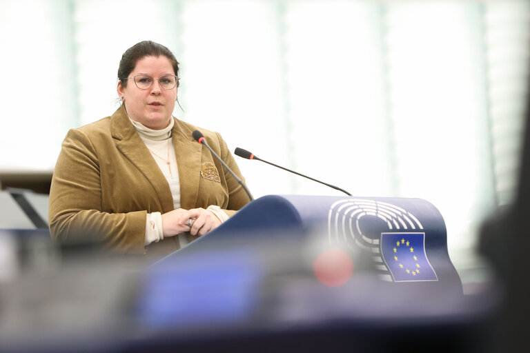 EP Plenary session - EU funding of physical border protection structures such as walls, fences or other barriers at the external border