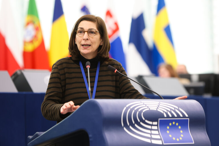 EP Plenary session - EU funding of physical border protection structures such as walls, fences or other barriers at the external border