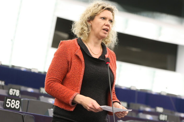 EP Plenary session - EU funding of physical border protection structures such as walls, fences or other barriers at the external border