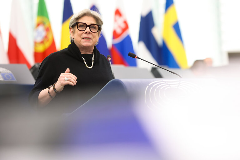 EP Plenary session - EU funding of physical border protection structures such as walls, fences or other barriers at the external border