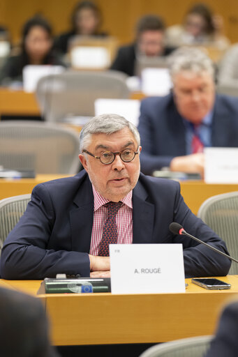 Fotografi 1: REGI - Exchange of views with Executive Vice-President Raffaelle Fitto on the future of cohesion policy