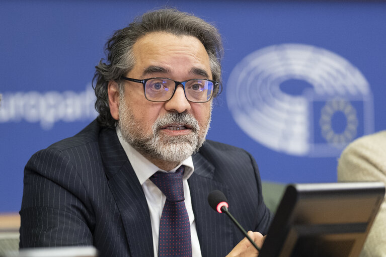 Fotografi 6: REGI - Exchange of views with Nadim Ahmad, OECD, on the main territorial impacts of the global challenges and available instruments for national authorities and regions to address them