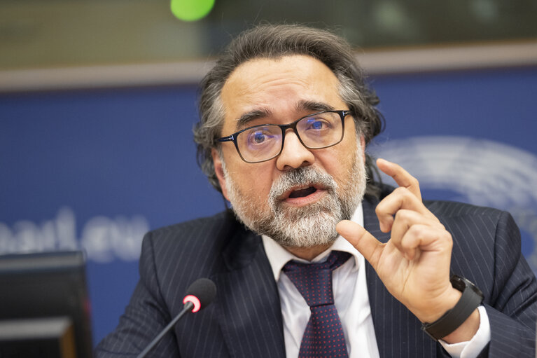 Fotografi 7: REGI - Exchange of views with Nadim Ahmad, OECD, on the main territorial impacts of the global challenges and available instruments for national authorities and regions to address them