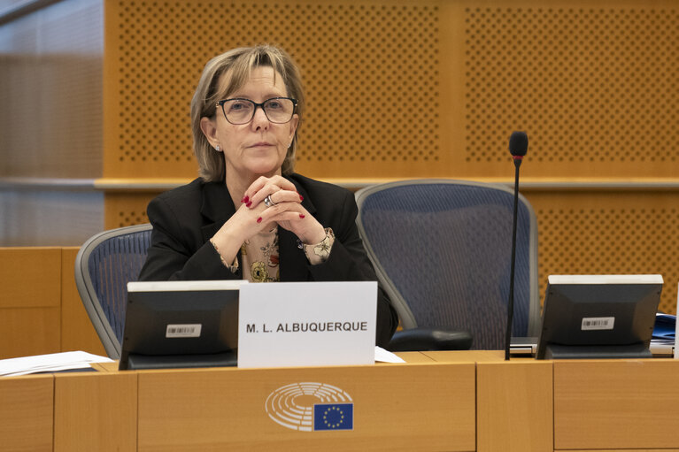 Photo 10: ECON LIBE - Exchange of views with Maria Luís Albuquerque, Commissioner for Financial Services and the Savings and Investments Union, on the amendment to the delegated regulation in relation to third countries which have strategic deficiencies in their AML/CTF regimes (High-Risk Third Countries)