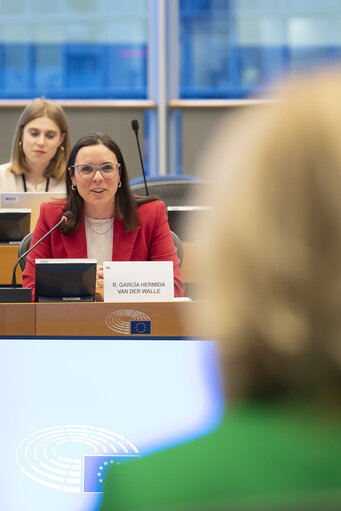 Photo 13 : LIBE - Trilogue on Combatting Corruption Directive