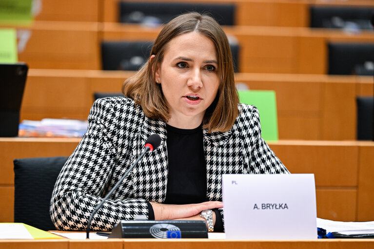 Fotografija 5: INTA -Presentation of the Priorities of the Polish Presidency of the Council