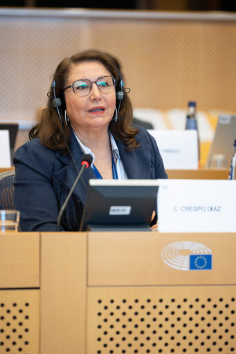 Fotografija 5: Conference of Committee Chairs