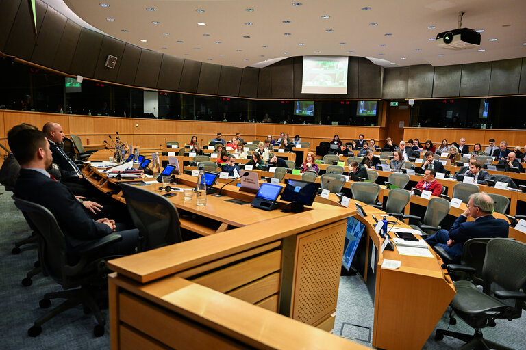 Foto 3: JURI - Hearing on the proposal for a Directive of the European Parliament and of the Council on adapting non-contractual civil liability rules to artificial intelligence (AI Liability Directive)