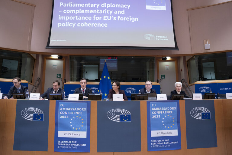 Photo 23 : 2025 EU Ambassadors Conference - Enhancing parliamentary diplomacy as a powerful instrument in EU’s foreign policy arsenal