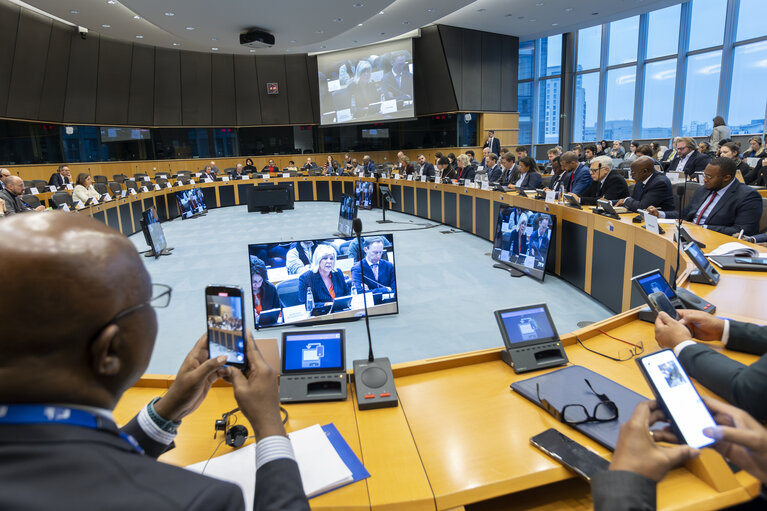 Fotó 12: Delegation to the Africa-EU Parliamentary Assembly (DFAR) meeting