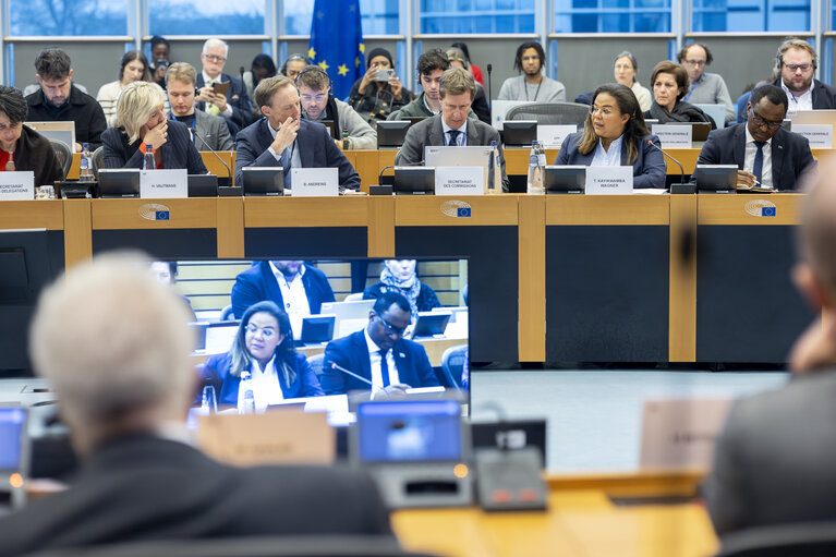 Fotó 2: Delegation to the Africa-EU Parliamentary Assembly (DFAR) meeting