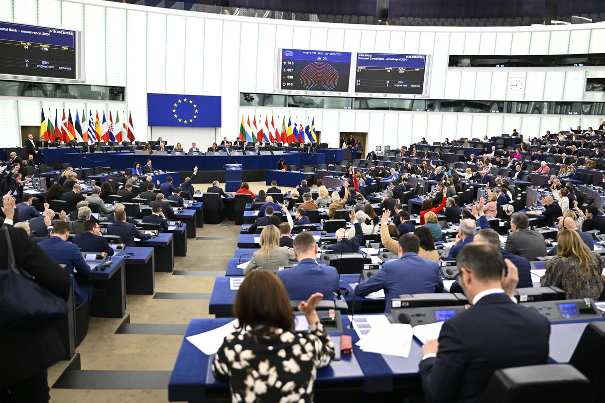 EP Plenary session - Voting session