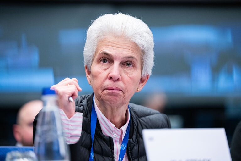 Fotografija 26: Conference of Committee Chairs