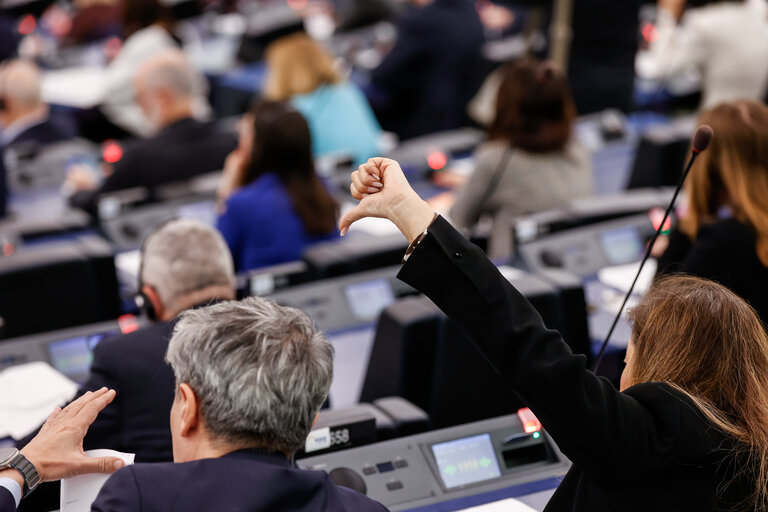 Fotó 2: EP Plenary session - Voting Session