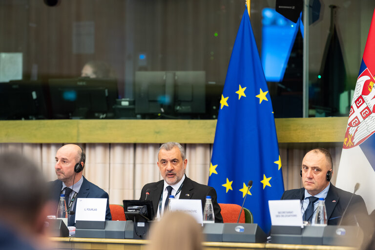 Fotó 18: 16th Meeting of the EU-Serbia Stabilisation and Association Parliamentary Committee