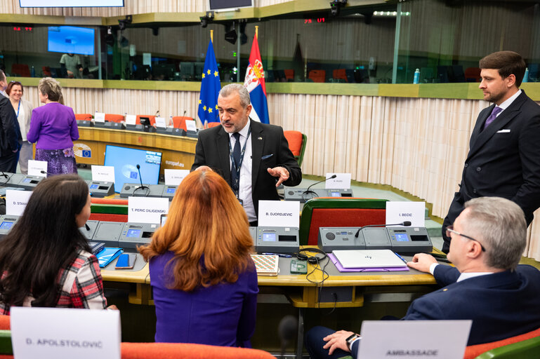 Fotó 26: 16th Meeting of the EU-Serbia Stabilisation and Association Parliamentary Committee