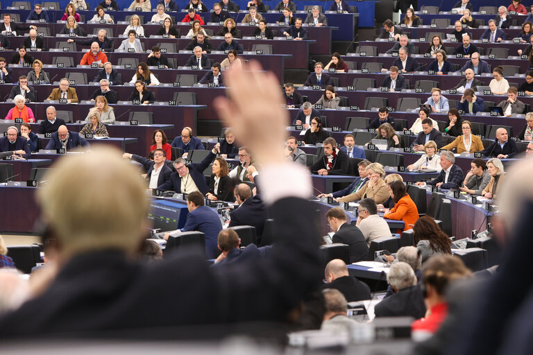 Fotó 1: EP Plenary session - Voting Session