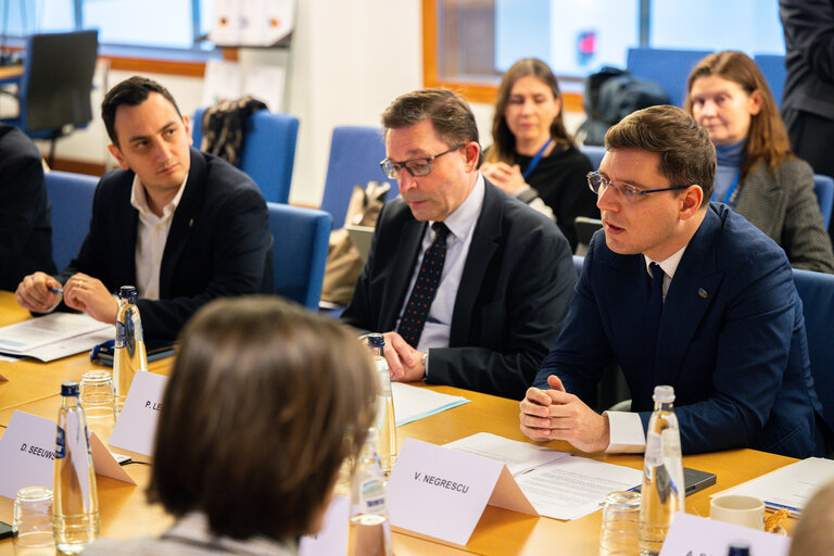 Φωτογραφία 1: ESPAS Steering Group meeting