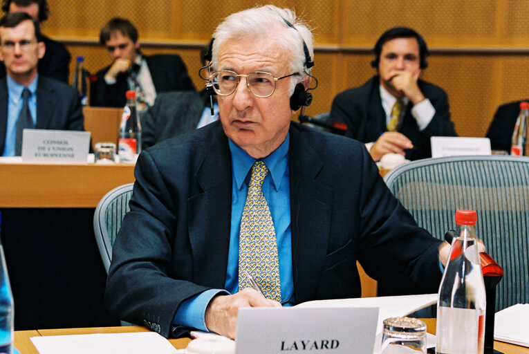 Economic & Monetary Affairs Committee - Hearing of Experts on the 1999 ANNUAL ECONOMIC REPORT