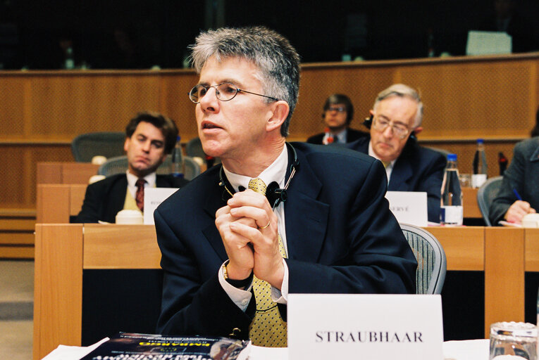 Economic & Monetary Affairs Committee - Hearing of Experts on the 1999 ANNUAL ECONOMIC REPORT