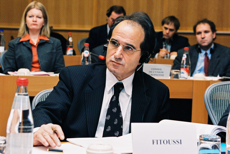 Economic & Monetary Affairs Committee - Hearing of Experts on the 1999 ANNUAL ECONOMIC REPORT