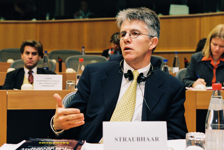 Economic & Monetary Affairs Committee - Hearing of Experts on the 1999 ANNUAL ECONOMIC REPORT