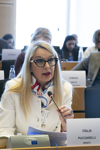 Billede 4: International Women’s Day 2025 - FEMM Inter-parliamentary Committee ' Strengthening the Women, Peace and Security Agenda – Upholding Women’s Rights in Defence, Security and Peace Building'