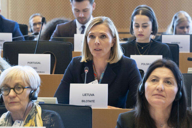 Valokuva 2: International Women’s Day 2025 - FEMM Inter-parliamentary Committee ' Strengthening the Women, Peace and Security Agenda – Upholding Women’s Rights in Defence, Security and Peace Building'